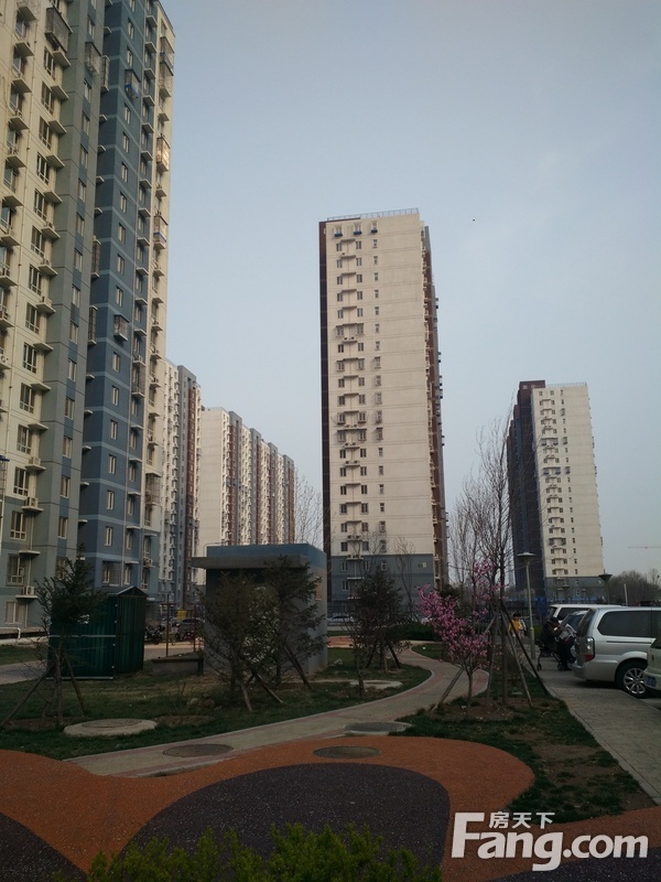建工双合家园最新房价动态分析