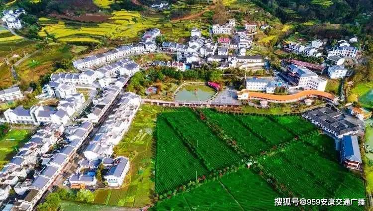 高阳县龙化乡最新消息概览