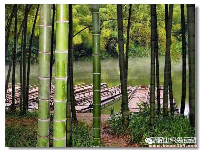 赤水招聘网最新招聘动态深度解析