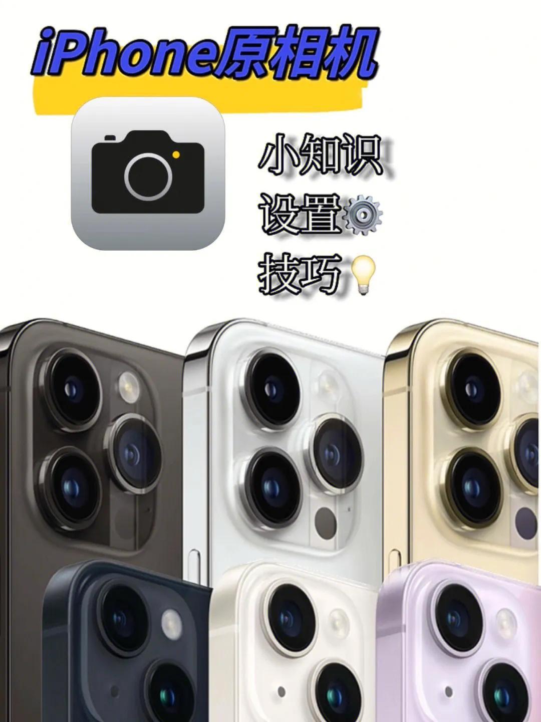 苹果手机最新版型号解析