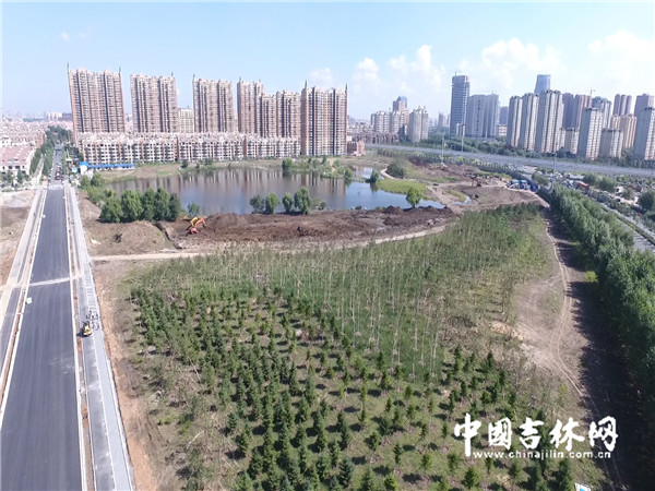 长春市伊通河最新信息概览