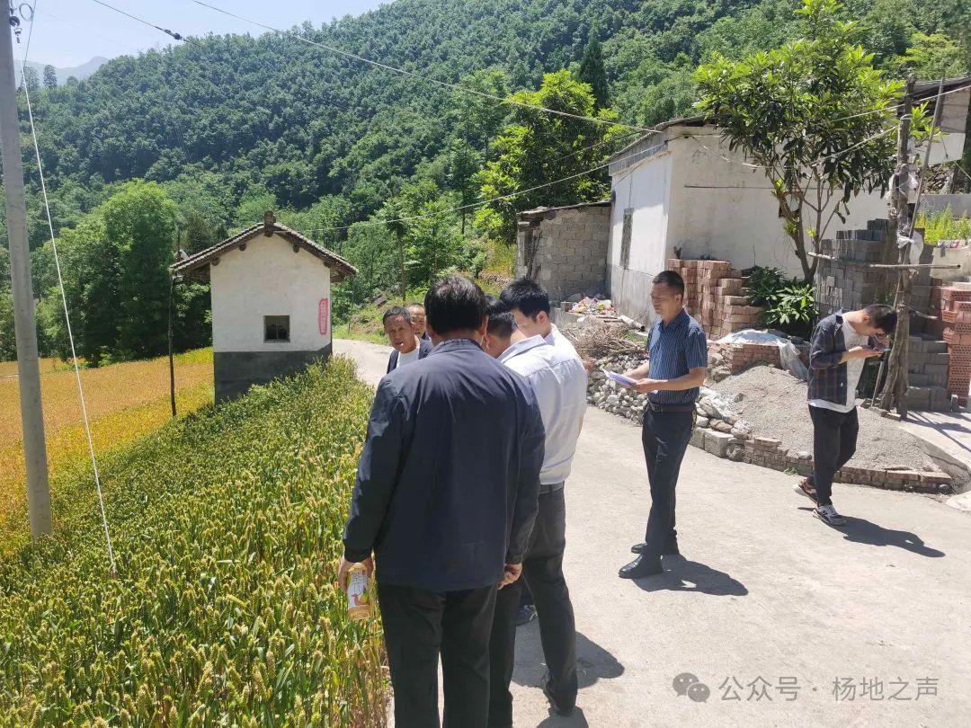 山阳县杨地镇最新消息概览