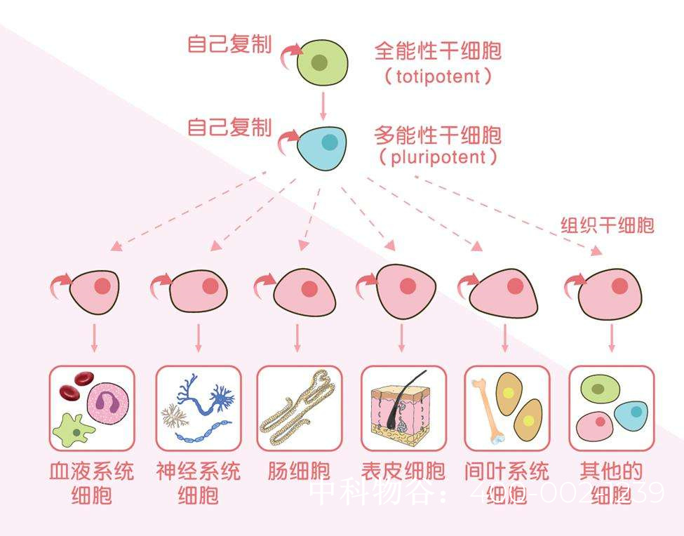 创新 第135页