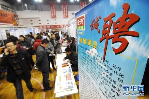 宁夏英才网最新招聘信息网——职场人的首选平台