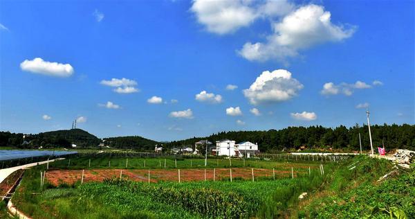 绵阳市东林乡最新消息，蓬勃发展中的乡村新面貌