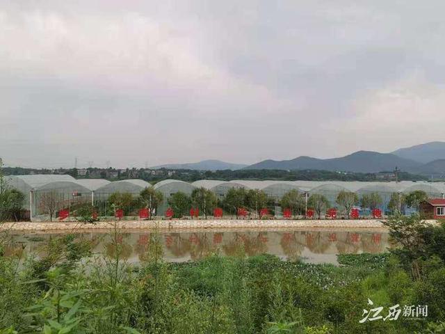 江西新建石岗最新新闻报道
