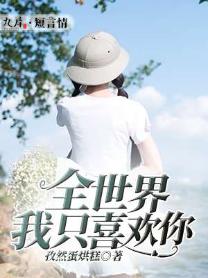乔恋沈凉川最新章节，情感的交织与碰撞
