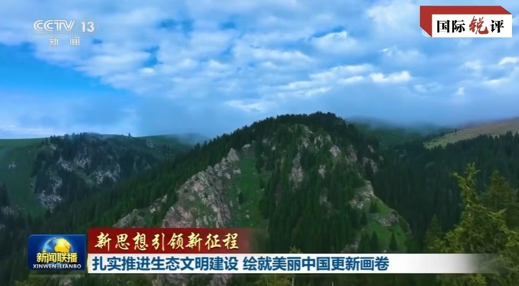 清远市罗某球最新消息，探寻其背后的故事与进展