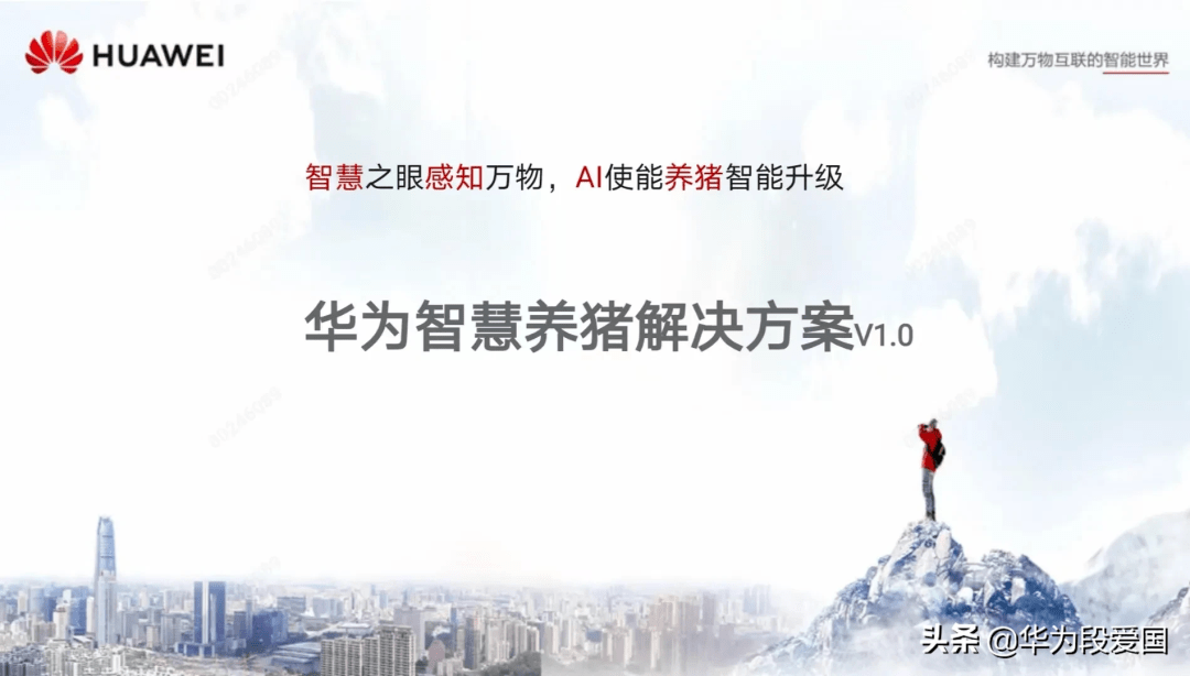 探索最新一期3D狂想字谜，一场视觉与智慧的盛宴