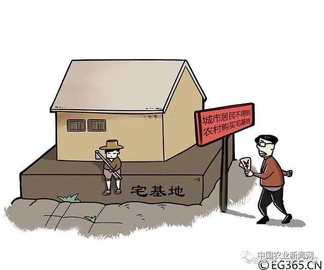 广州宅基地买卖最新政策法规解读