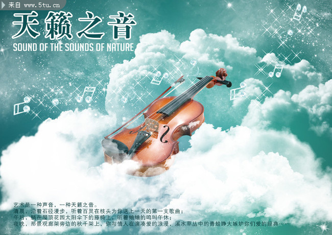 天赖之音，探寻自然之美的奥秘