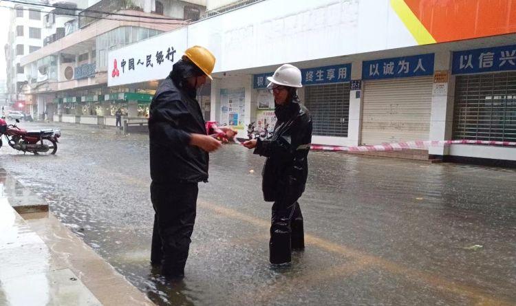 电白水东地区最新地皮信息深度解析