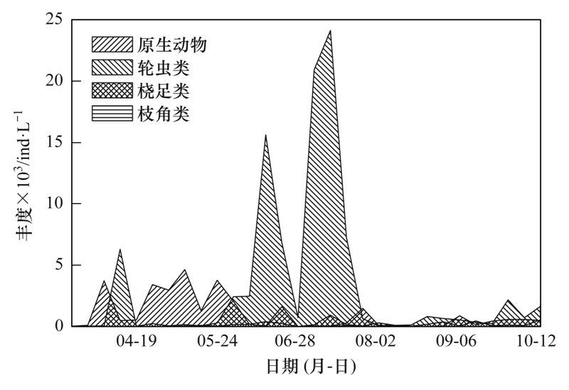 三角塘工业城最新招聘动态及其影响
