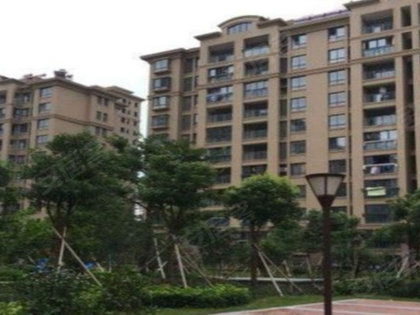 弘信观湖最新消息全面解读