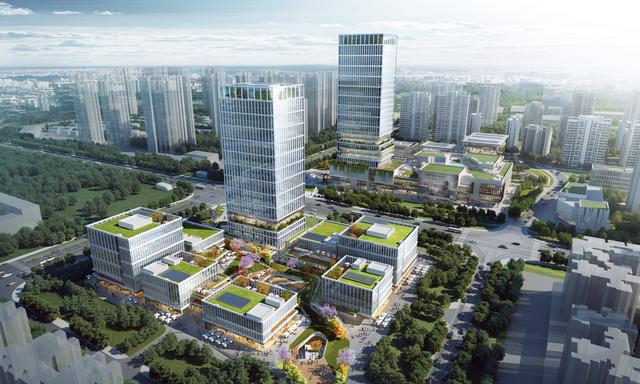 经十一路棚改最新进展，重塑城市面貌，提升居民生活品质
