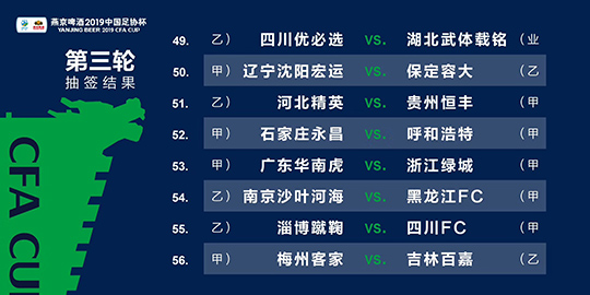2024澳门免费精准6肖|精选资料解析大全