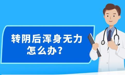 新澳精准资料免费提供彩吧助手|精选资料解析大全