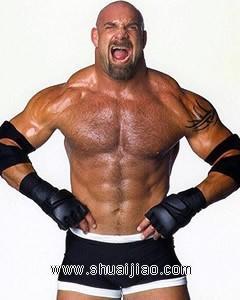 澳彩资料免费的资料大全wwe|精选资料解析大全