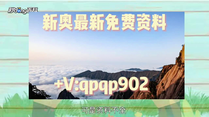 2024新澳精准资料免费提供网站|精选资料解析大全