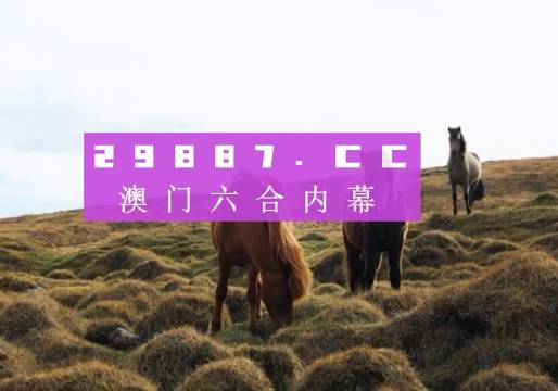 最准一肖一码一一香港澳王一王|精选资料解析大全