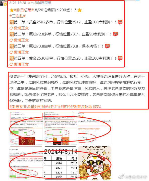 婆家一肖的独特文化密码|精选资料解析大全