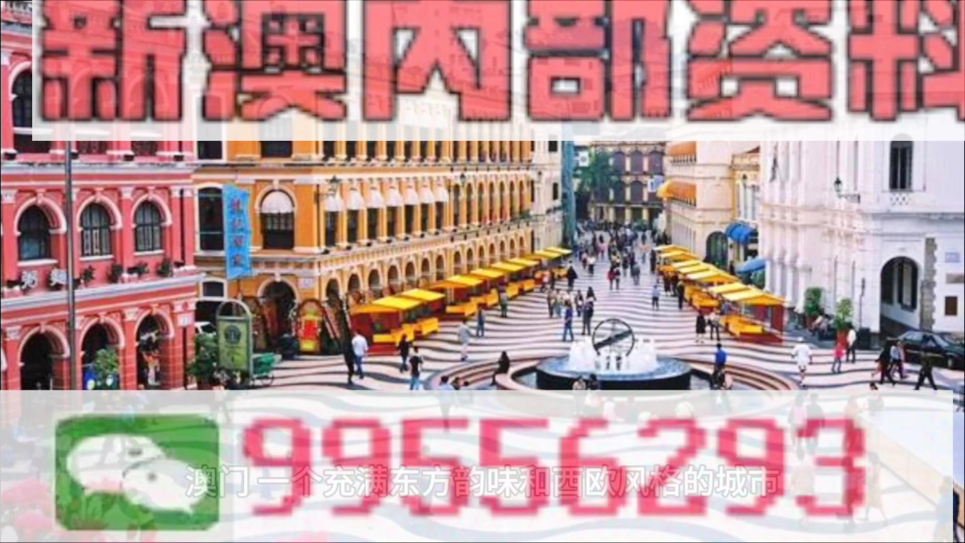 澳门会员内部资料一码|精选资料解析大全