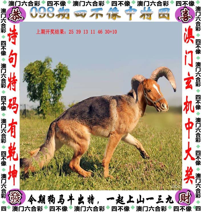 新澳门四不像图片大全2024年|精选资料解析大全