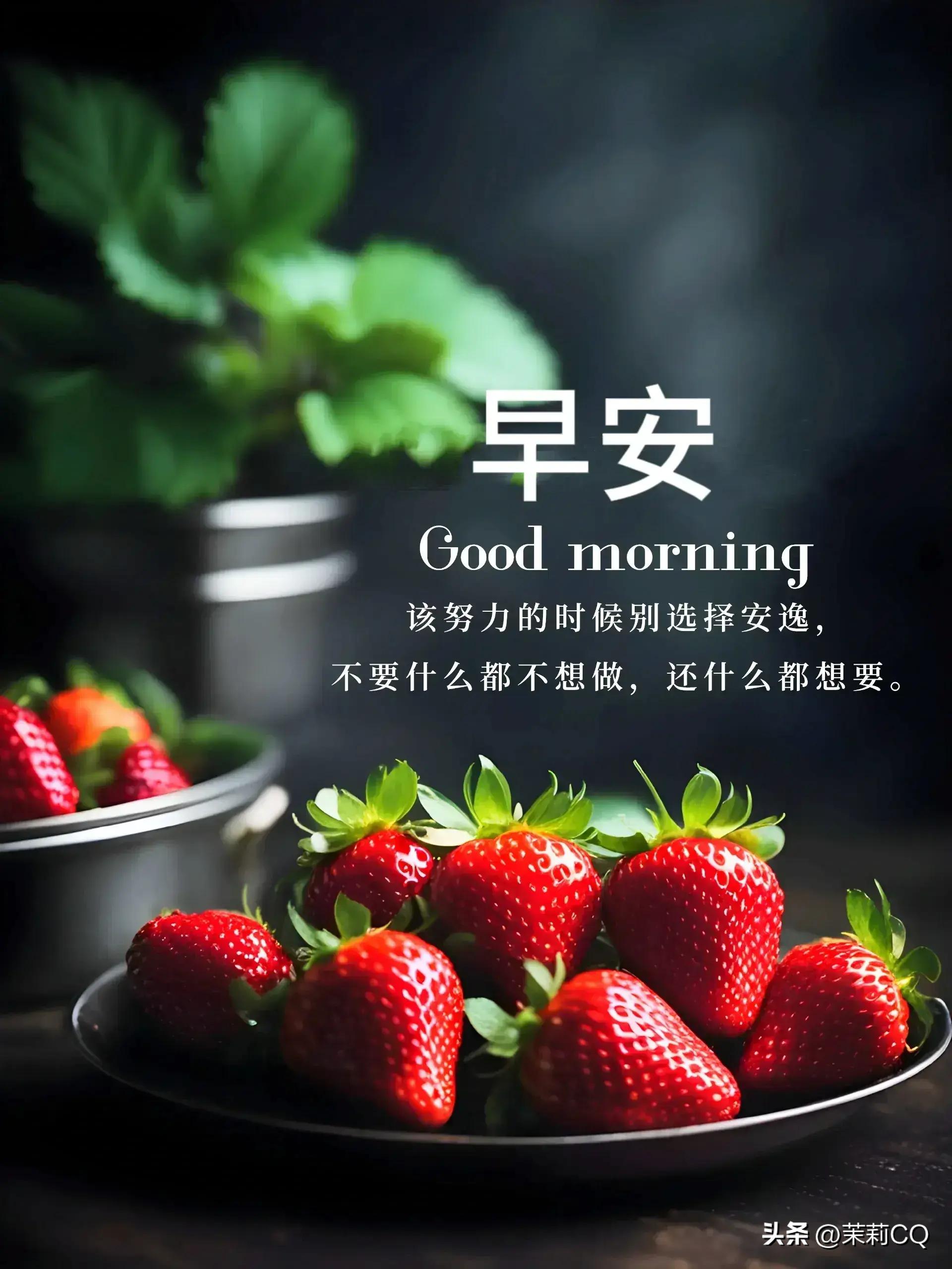 探索2024天天彩,全年免费资料的深度解析|精选资料解析大全