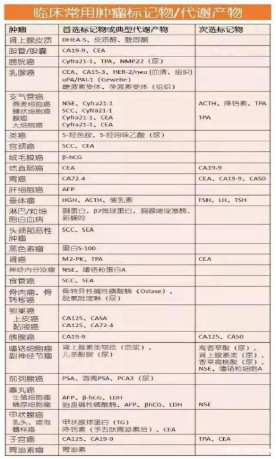 最精准的三肖三码资料|精选资料解析大全