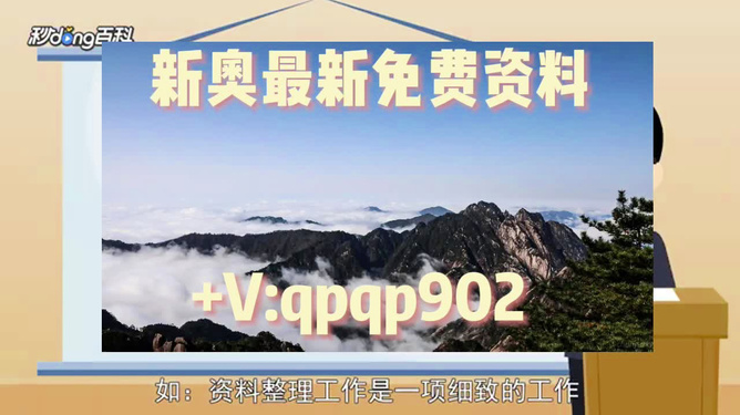 新奥彩正版免费资料|精选资料解析大全