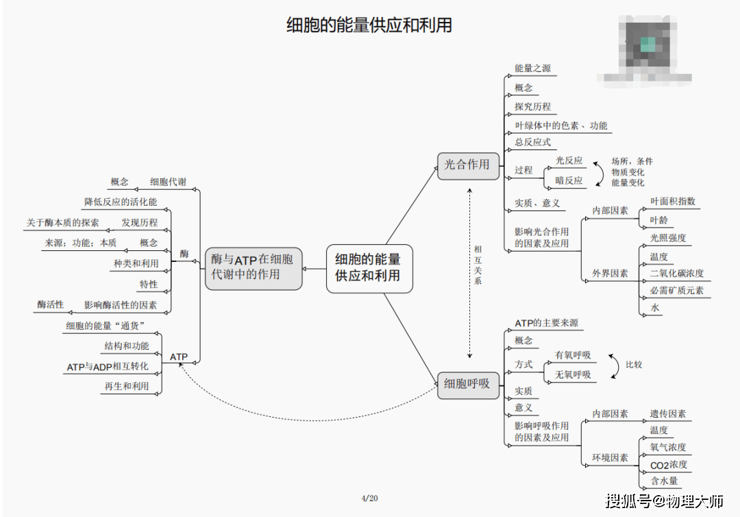 今晚必出三肖|精选资料解析大全