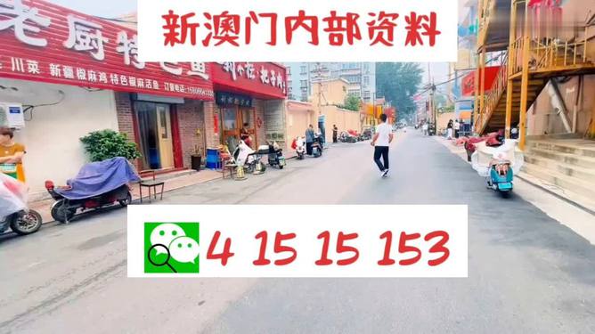 2024新澳门天天开好彩大全|精选资料解析大全