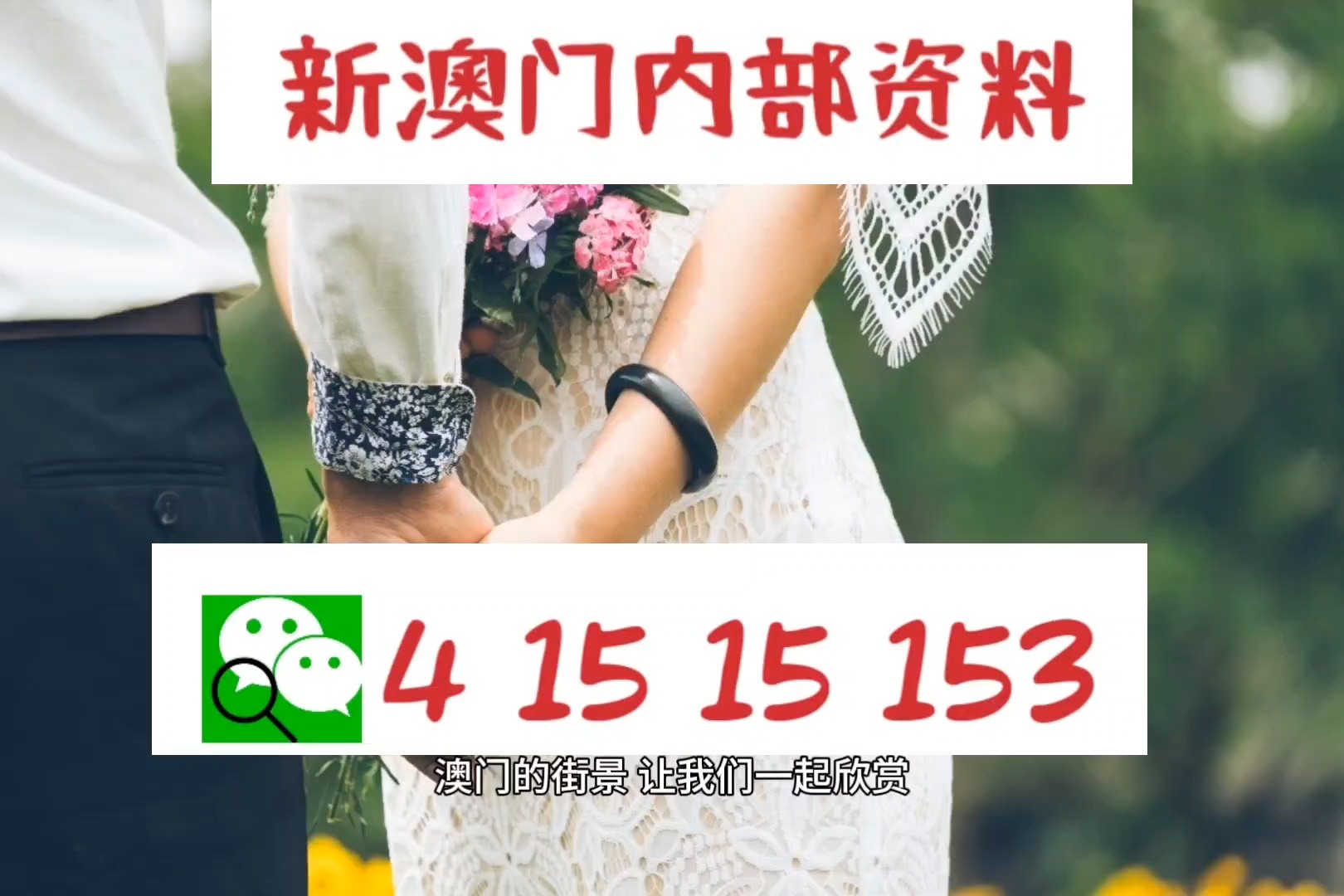 新澳门2024今晚开什么|精选资料解析大全