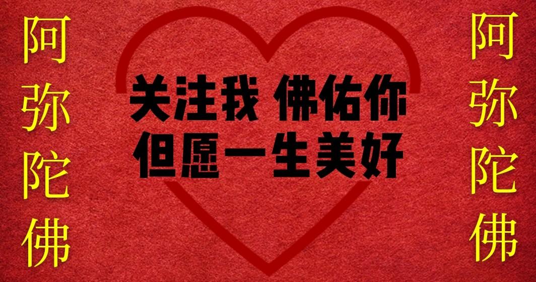 天天好采免费资料大全|精选资料解析大全