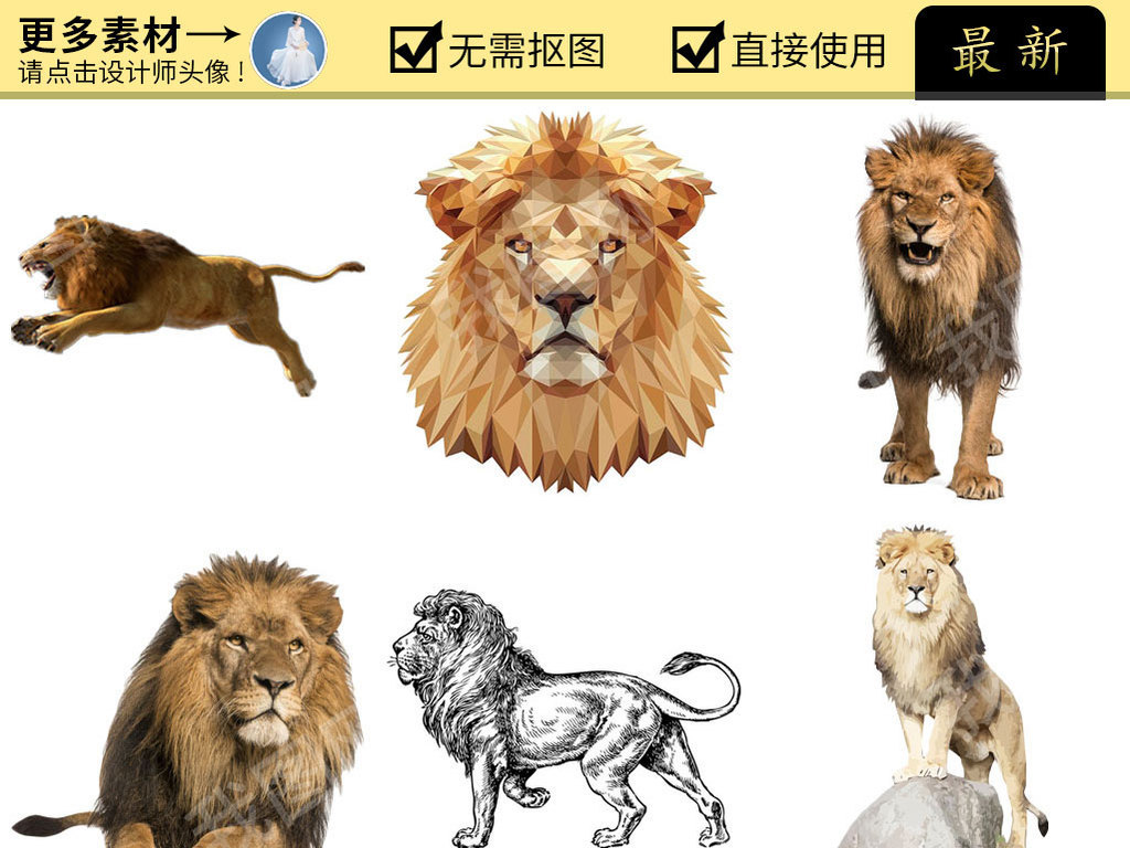 新澳门四不像的真正图片|精选资料解析大全