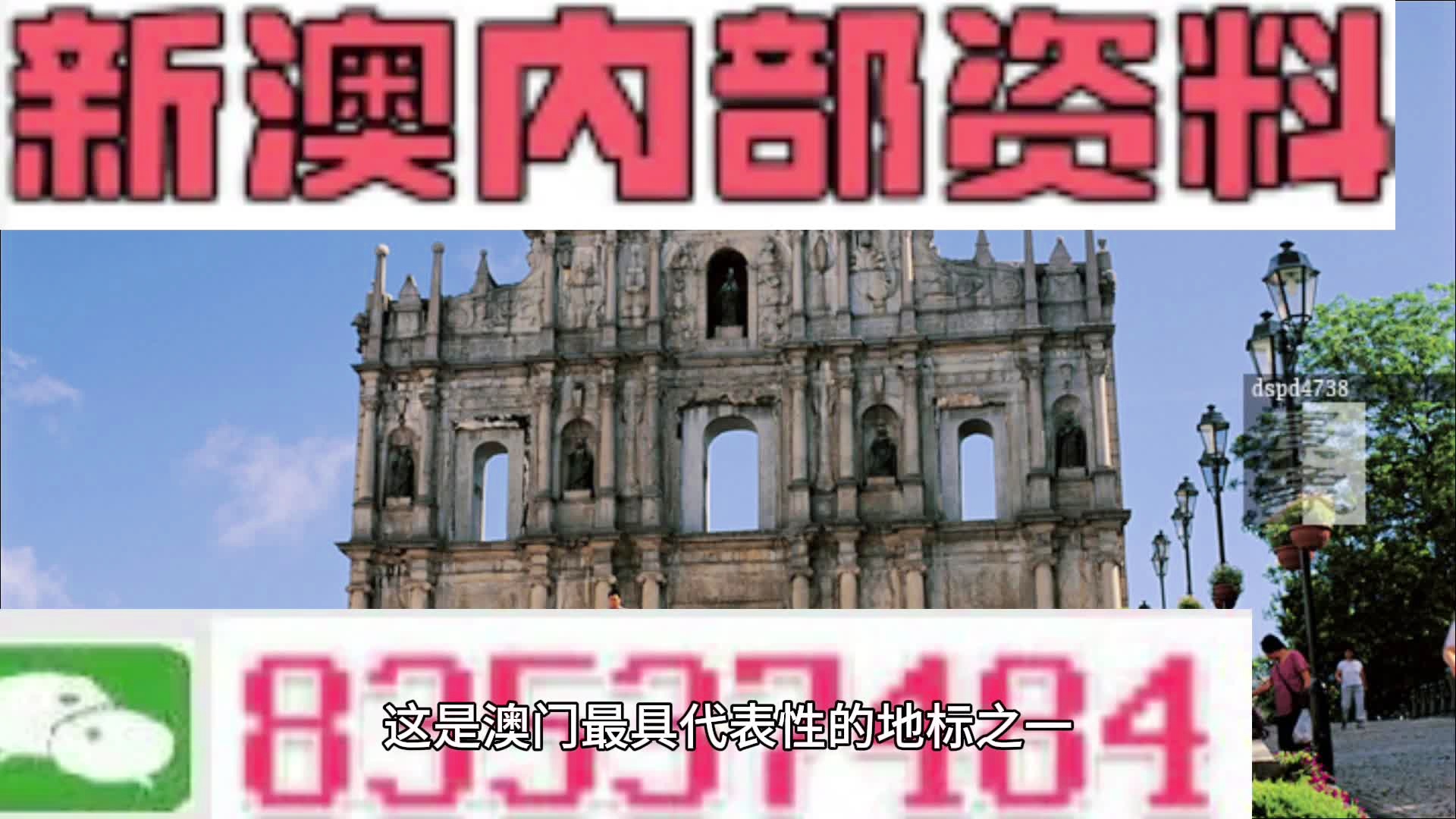 新澳六开彩资料2024|精选资料解析大全