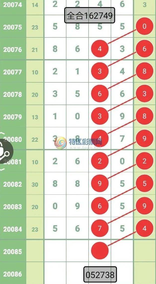 2O24新澳历史开奖记录69期|精选资料解析大全