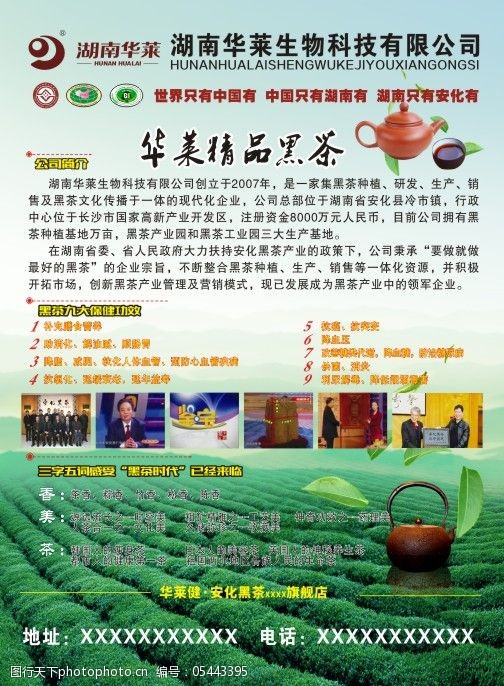 华莱黑茶最新奖金制度