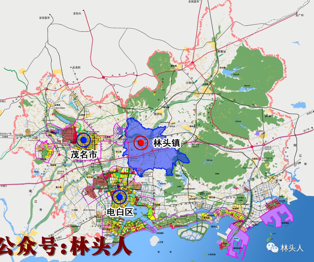 电白区林头最新规划图
