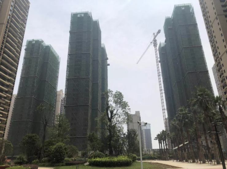 资讯 第20页