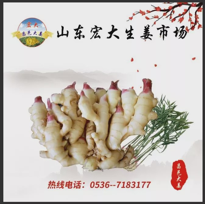 昌邑大姜最新价格表