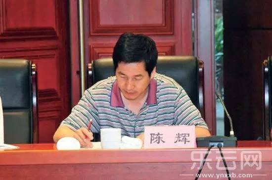 陈辉 胡祖英最新进展
