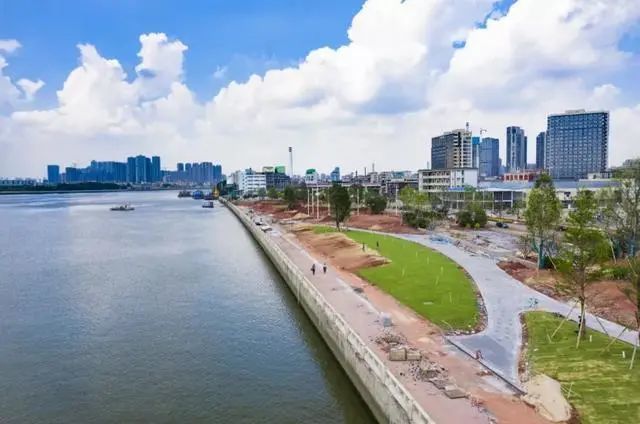 海珠区环岛路最新消息